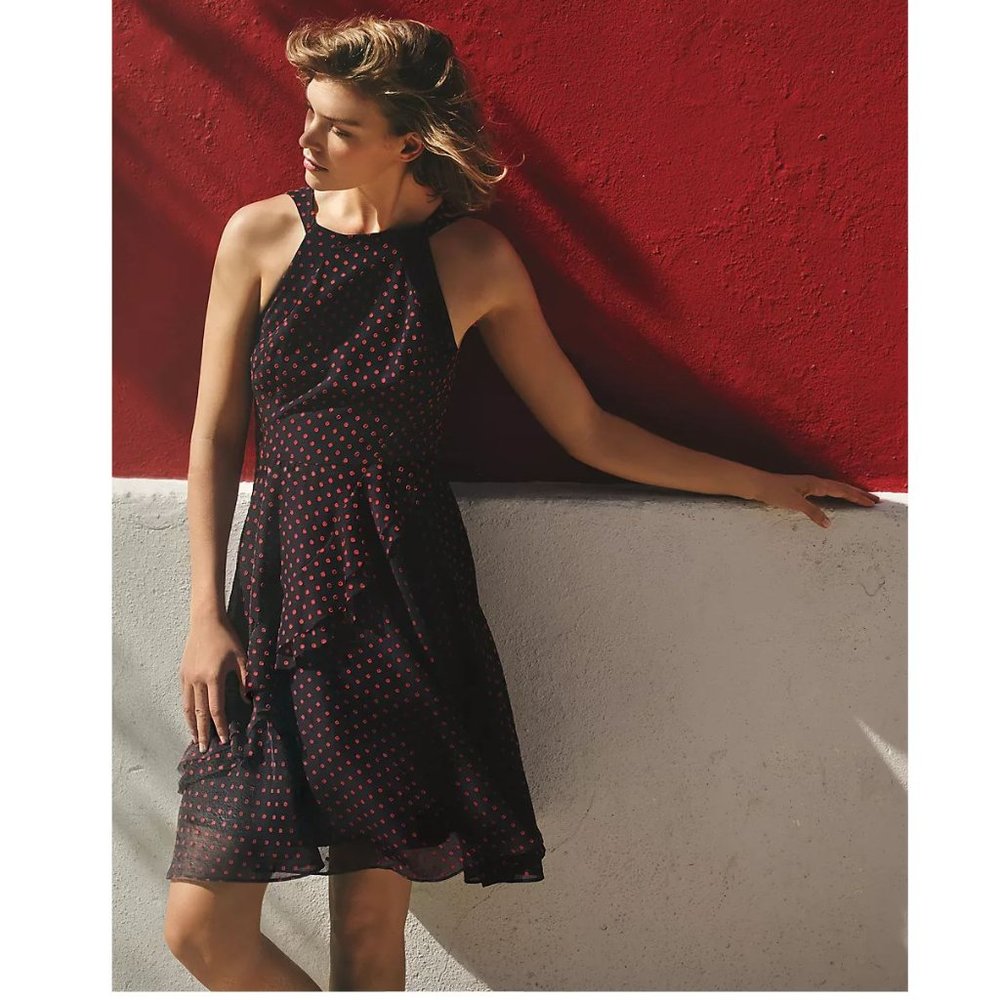 Anthropologie EVA FRANCO Ruffled Clipdot Dress sz 4 Women's - Picture 4 of 11